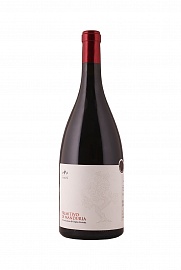 Феллине Примитиво ди Мандурия 1,5 л